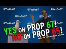 California voters: YES on Prop 67—and NO on Prop 65—for a plastic-free ocean!