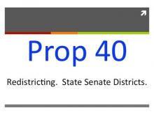 Proposition 40: Approve Voting District Lines -- The Darryl Johnson Show